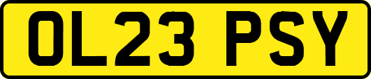 OL23PSY