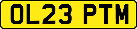 OL23PTM
