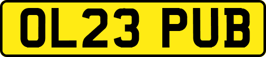 OL23PUB