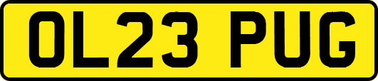 OL23PUG