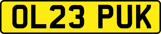 OL23PUK