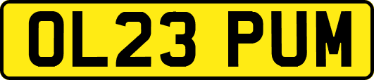 OL23PUM