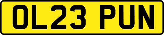 OL23PUN