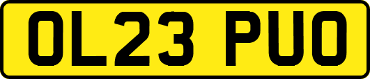 OL23PUO