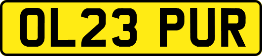 OL23PUR