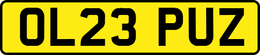 OL23PUZ