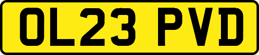 OL23PVD