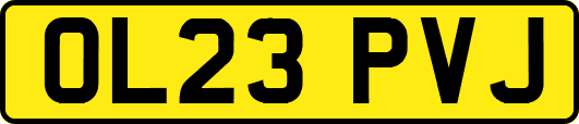 OL23PVJ