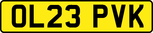 OL23PVK