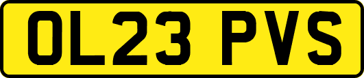 OL23PVS