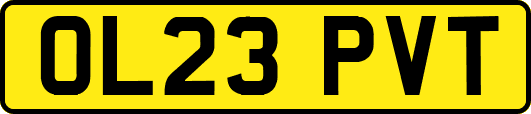 OL23PVT