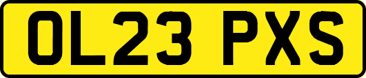 OL23PXS