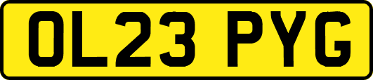 OL23PYG