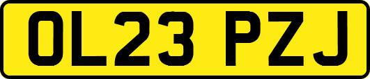 OL23PZJ