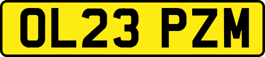 OL23PZM