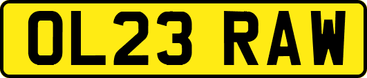 OL23RAW