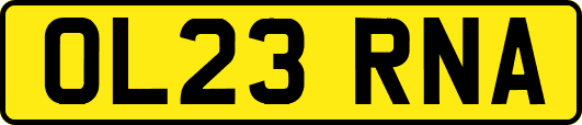 OL23RNA