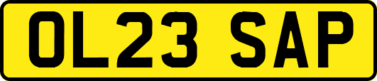 OL23SAP