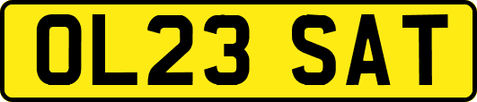 OL23SAT
