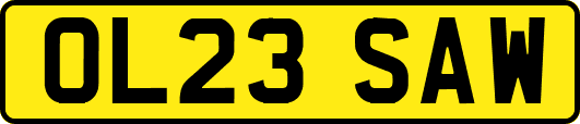 OL23SAW