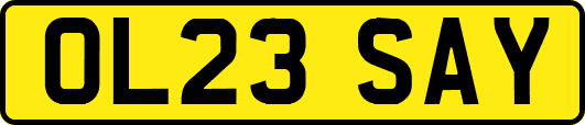 OL23SAY
