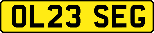 OL23SEG