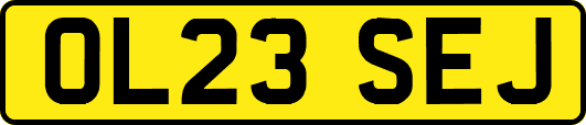 OL23SEJ