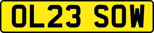 OL23SOW