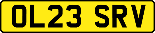 OL23SRV