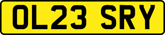 OL23SRY
