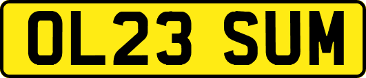 OL23SUM
