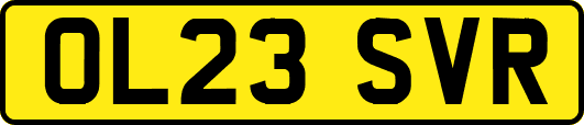 OL23SVR