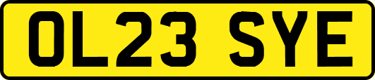 OL23SYE