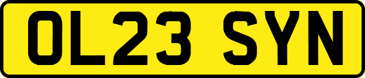 OL23SYN