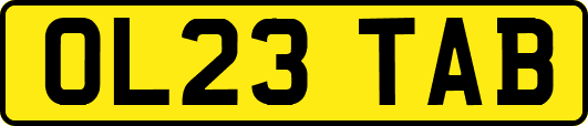OL23TAB