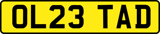 OL23TAD