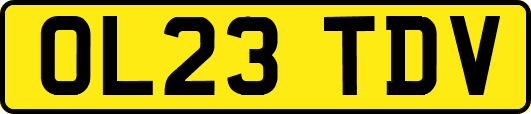 OL23TDV