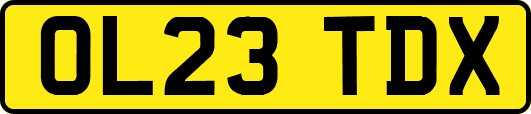 OL23TDX