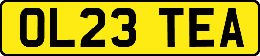 OL23TEA