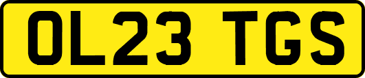 OL23TGS