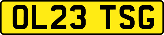 OL23TSG