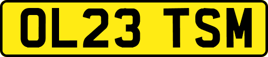 OL23TSM