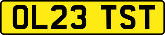 OL23TST
