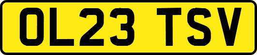 OL23TSV