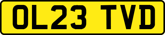 OL23TVD