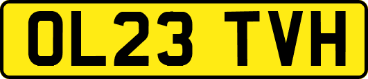 OL23TVH