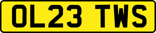 OL23TWS