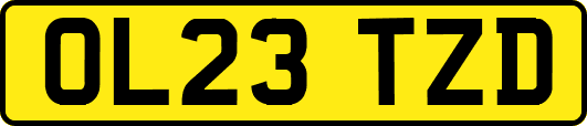 OL23TZD