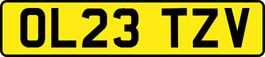 OL23TZV