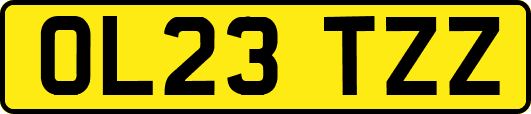 OL23TZZ